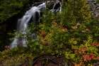 Paradise River in autumn in Mount Rainier National Park, Washington State, USA Art Print